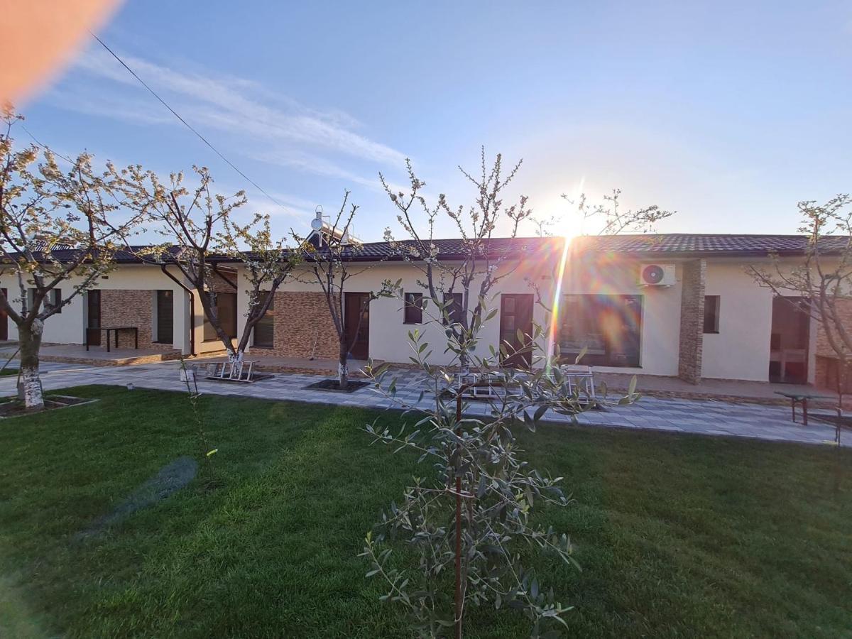 Camere De Inchiriat Cris&Dia إيفوري سود المظهر الخارجي الصورة